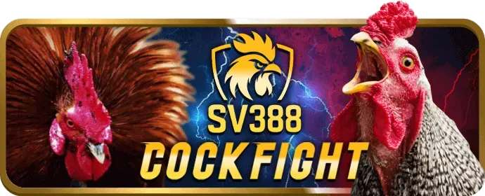 Banner kêu gọi hành động đăng ký hoặc tải ứng dụng ST6667, với hình ảnh người chơi đang tương tác trên điện thoại hoặc máy tính, cùng với nút CTA nổi bật.