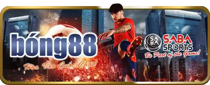 Ảnh bìa bài viết blog về cá cược thể thao ST6667, với hình ảnh sân vận động, bóng đá và biểu đồ phân tích kèo.